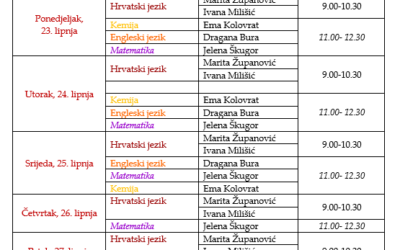 DOPUNSKI NASTAVNI RAD